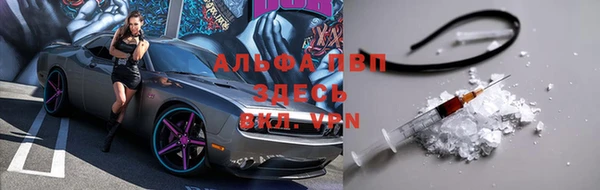 сатива Вязники