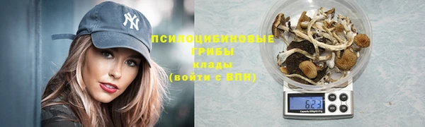 сатива Вязники